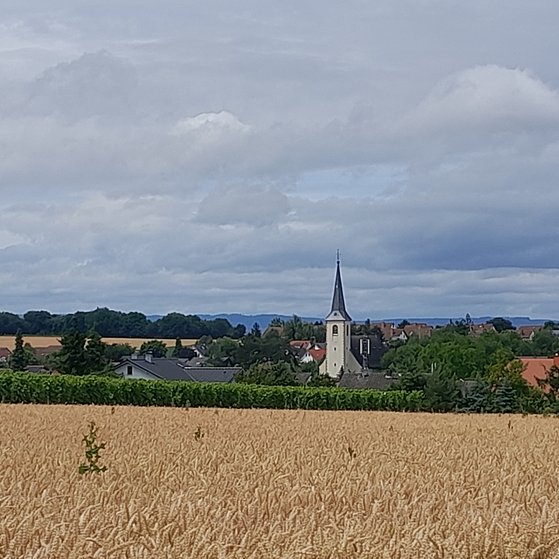 Unser VdK Ortsverband Mainz-Ebersheim wurde vor über 75 Jahren gegründet. Foto von Ebersheim, Aufnahme zeigt Kirche, Gärten, Häuser im Hintergrund der Taunus